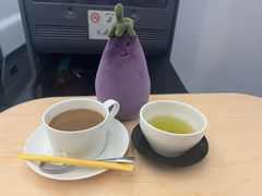 -全日本空输株式会社(上海办事处)