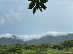 -西涌国际滨海旅游区