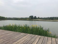 -东郊湿地公园