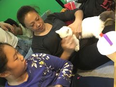 -李小姐の猫咖啡馆(五角场店)