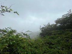 -广州市白云山风景名胜区