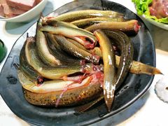 -铜元老码头鳝鱼火锅