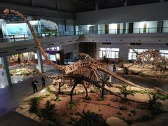 -自贡恐龙博物馆