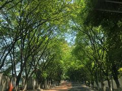 -南山植物园