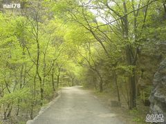 -北京上方山国家森林公园