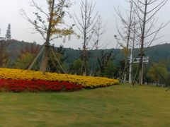 -南京市无想山景区