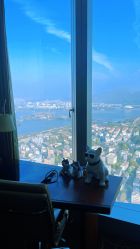 -大美母婴月子专护中心(紫峰店)