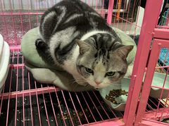 -百金通黄金回收首饰定制维修(珠江路总部)