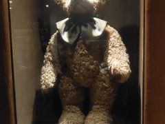 -济州岛泰迪熊博物馆