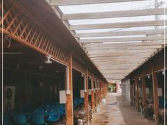 -亲兄弟真人CS团建拓展基地