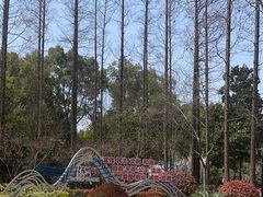 -徐家汇源景区-衡山公园