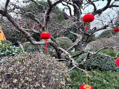 -西安华清御汤酒店