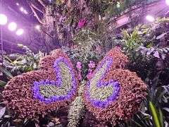 -正佳雨林生态植物园