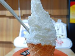 -野人先生现做冰淇淋(北京顺义祥云小镇店)