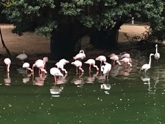 -九龙公园