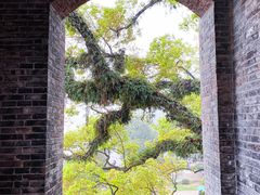 -江心屿景区
