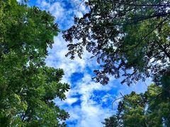 -山王坪喀斯特国家生态公园