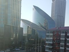 -羲和雅苑•北京烤鸭(平安国际金融中心店)