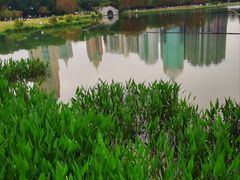 -南宁南湖公园