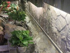 -首秀·四川料理(星耀101店)