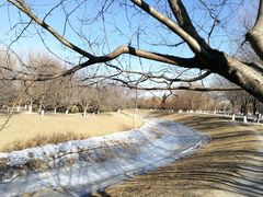 -奥林匹克森林公园北园-停车场
