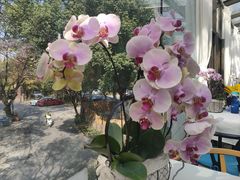 -春暖花开(西溪店)