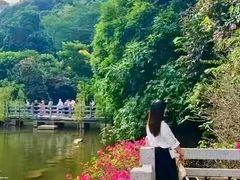 -广州市帽峰山景区