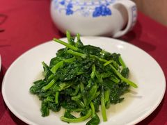酒香豆苗-老吉士酒家(天平路店)