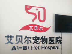 -艾贝尔宠物医院 ·内科全科(梁溪路店)