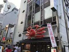 -蟹道乐(道顿堀本店)