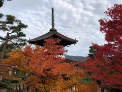 -常寂光寺