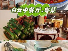 -白云中餐厅·粤菜·亚龙湾喜来登度假酒店