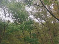-大青沟风景区