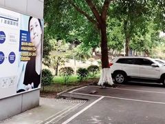 -约翰·菲茨杰拉德·肯尼迪国际机场