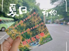 -本溪汤沟绿石谷森林公园
