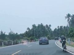 -东郊椰林