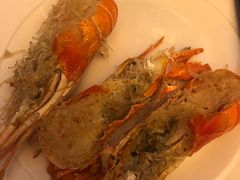 -百香自助餐厅·西安唐隆国际酒店(曲江店)