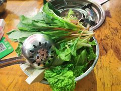 五元蔬菜-苗阿哥