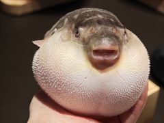 -永安鱼庄·镇江菜(丁卯店)