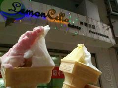 -柠檬车露(卖草地店)