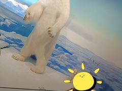 -陕西自然博物馆