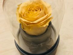 -ROSEONLY诺誓(青岛万象城店)