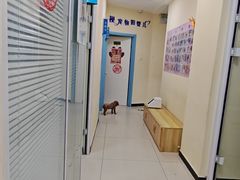 -全心全意连锁动物医院·微创中心·内科急重症·心脏专科(丰管路店)