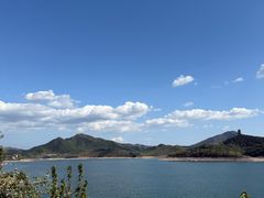 -望湖烤鱼