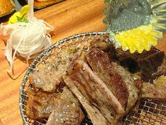 -杨小佳·齐齐哈尔烤肉·烤串(广州店)
