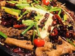 -老板恋上鱼(振华商厦店)