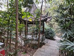 -深圳国际园林花卉博览园