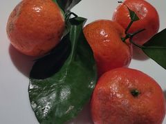 -聚友斋(陶瓷琉璃馆水晶街店)