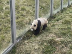 -西安秦岭野生动物园