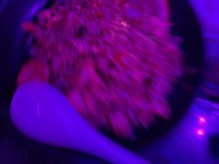 -纯K(打浦桥店)